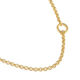 14k Yellow Gold Rolo Chain with Connector