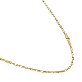 Large 14K Yellow Gold Long Box Chain