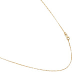 Small 14K Yellow Gold Long Box Chain