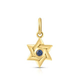 Gold And Sapphire Star Of David Charm